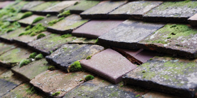 Mardy roof repair costs